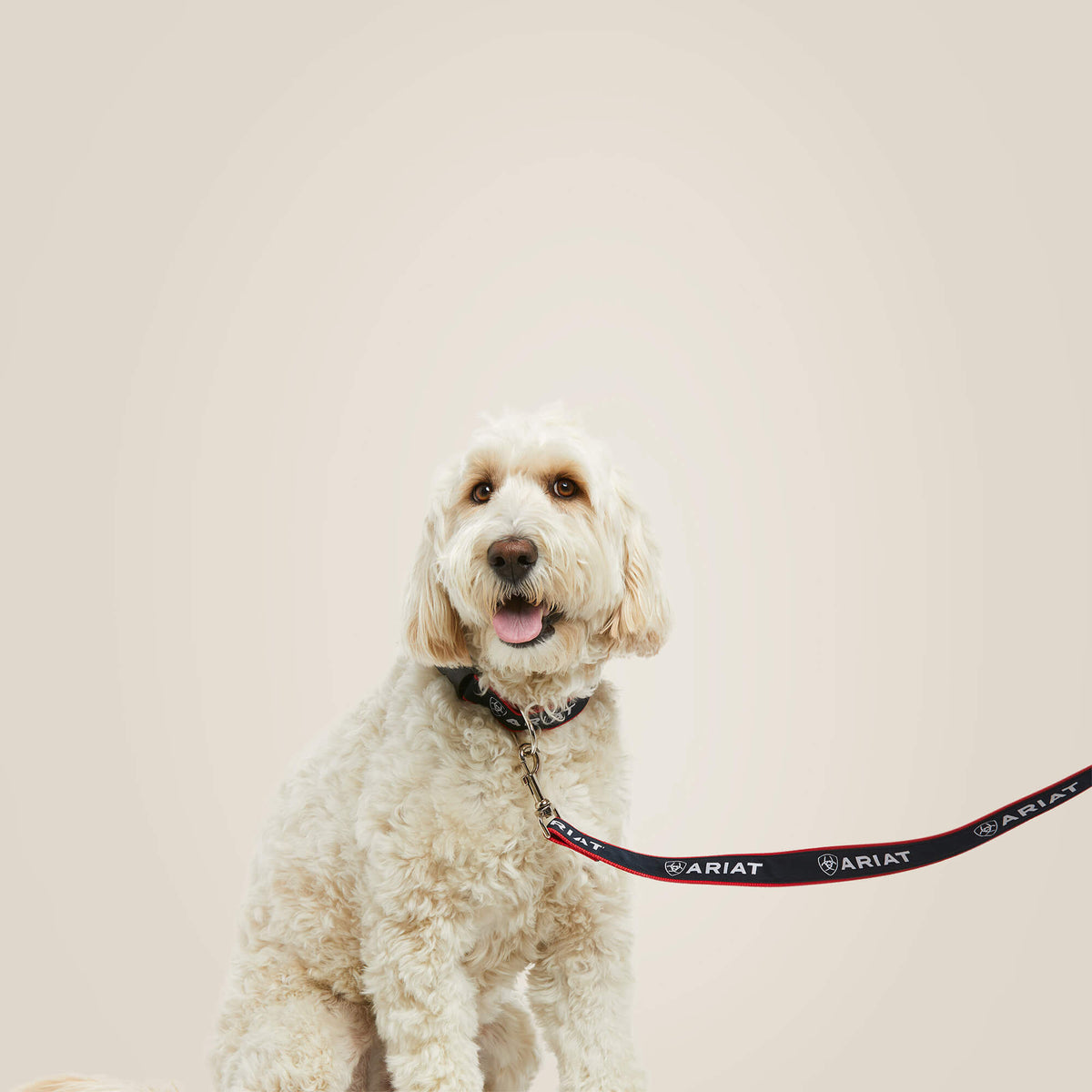 Ariat Best Seller Dog Leash