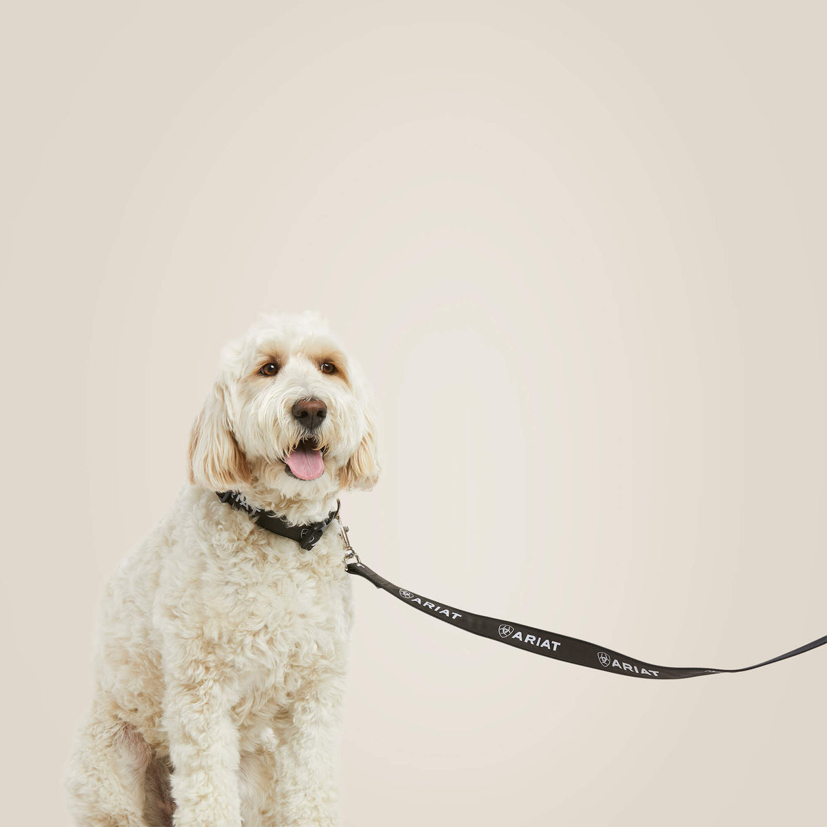 Ariat Latest Dog Leash