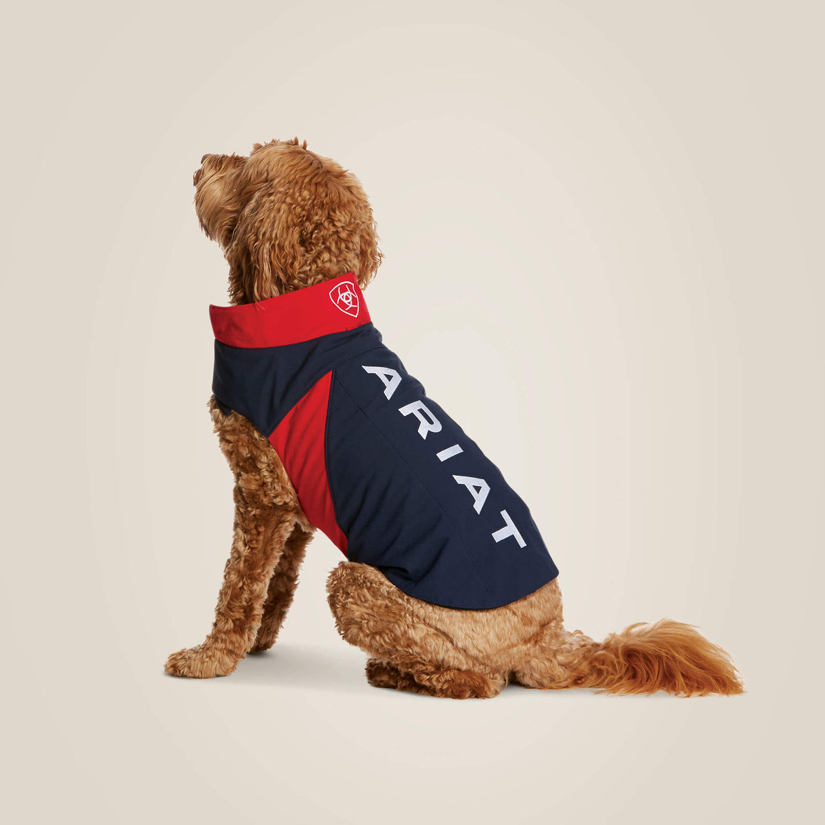 Ariat Trusted Team Softshell Dog Jacket