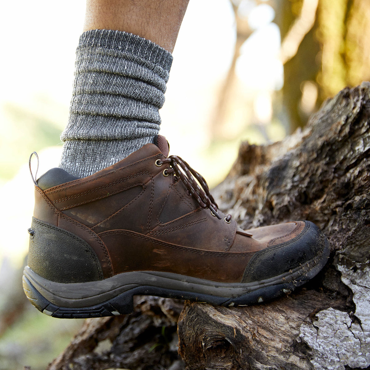Ariat Value Terrain Waterproof Boot