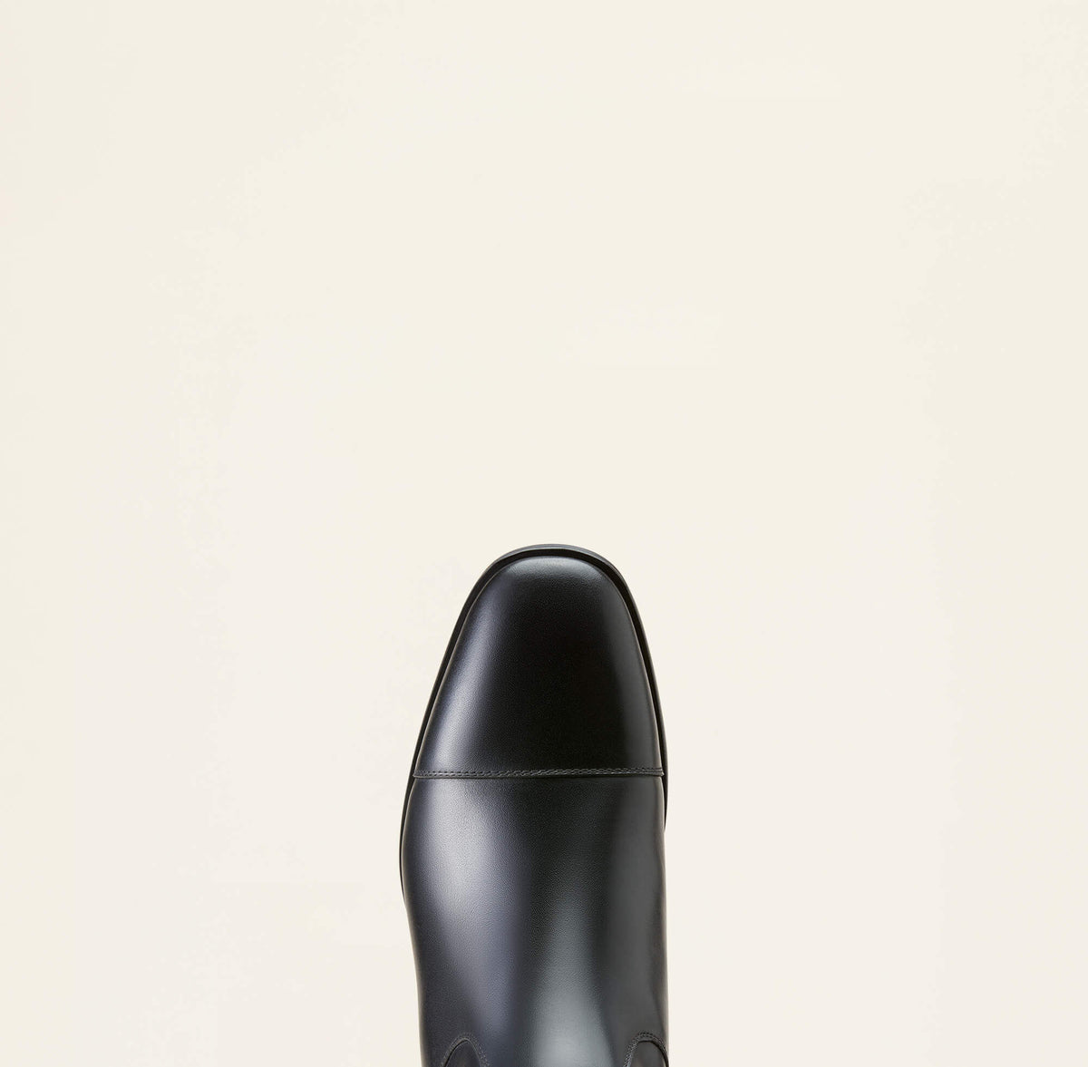 Ariat Special Offer Ravello Dress Tall Riding Boot
