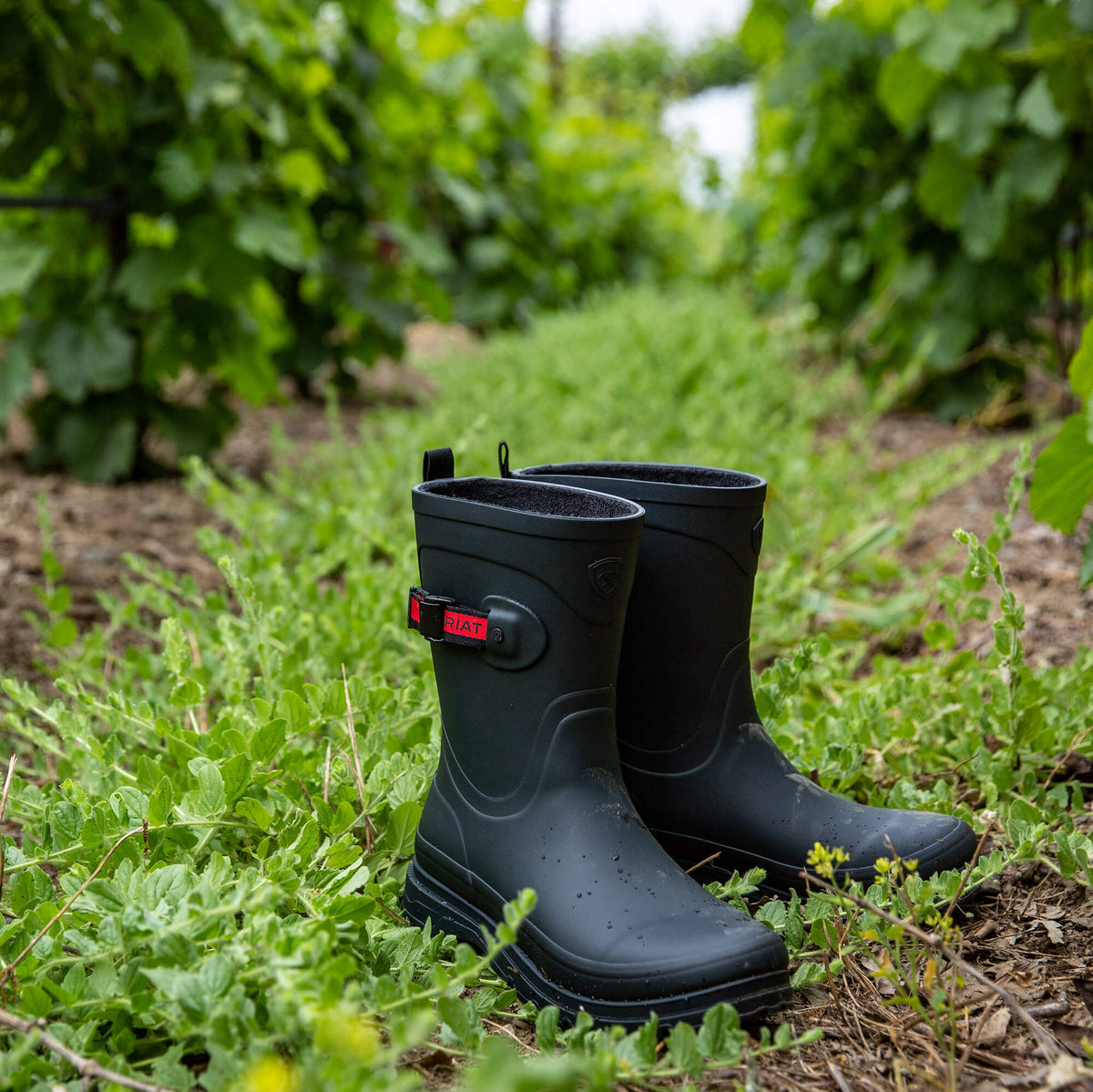 Ariat Premium Kelmarsh Mid Rubber Boot
