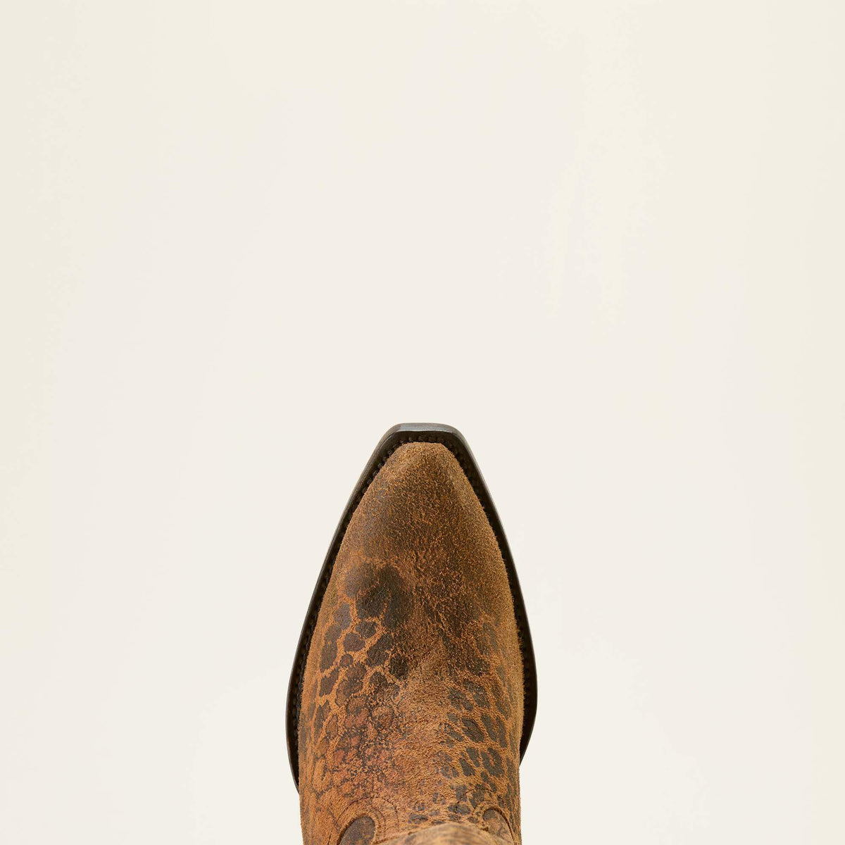 Ariat Discount Casanova X Toe Western Boot