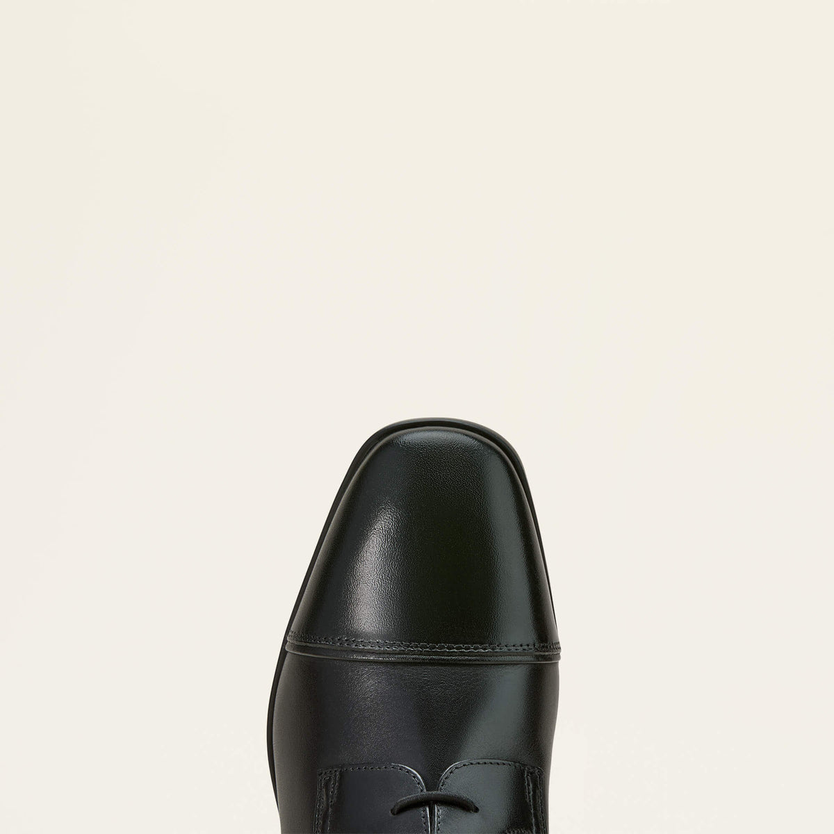 Ariat Latest Palisade Field Tall Riding Boot