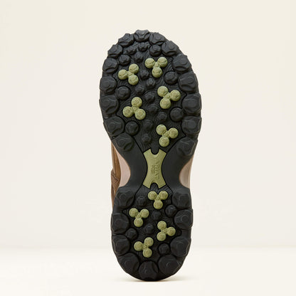 Ariat Latest Traverse Low Waterproof Hiking Shoe