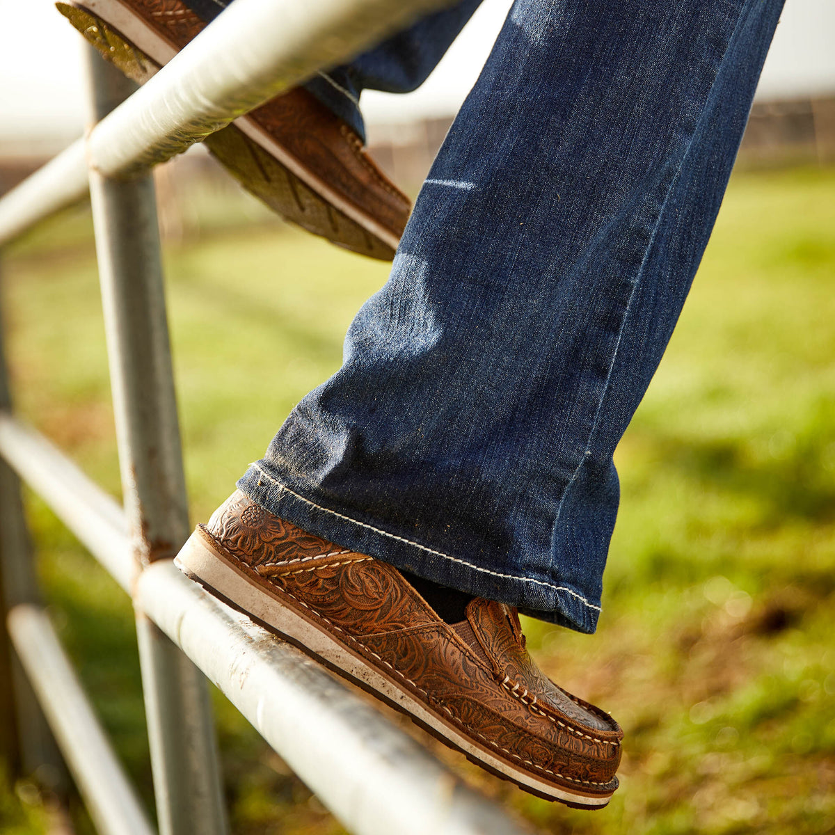 Ariat Signature Cruiser