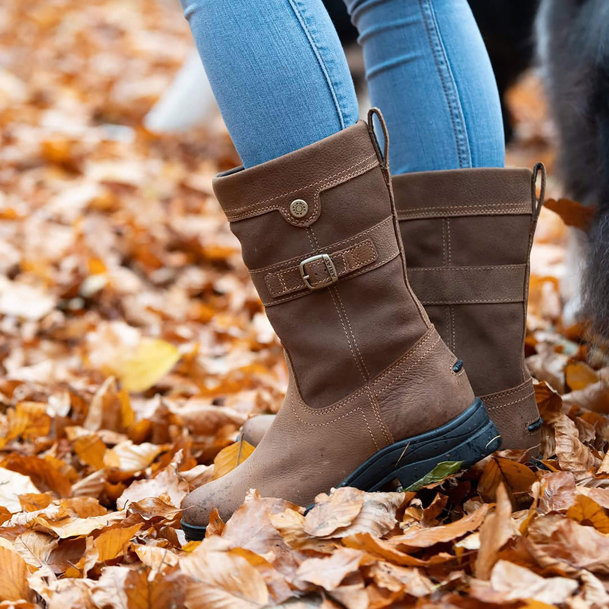 Ariat New Bampton Waterproof Boot