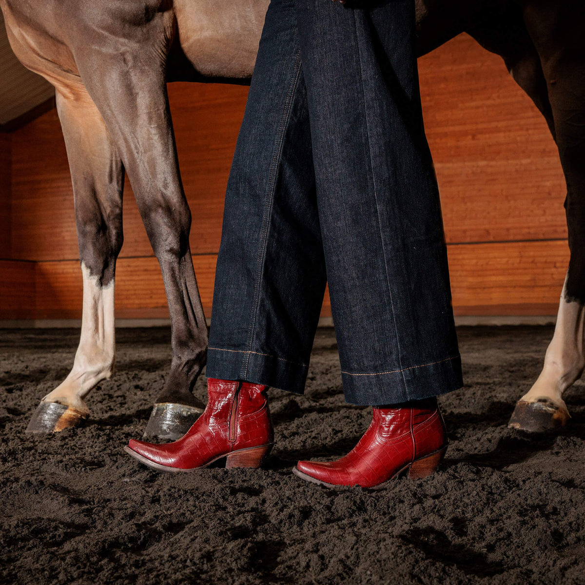 Ariat Trending Casanova X Toe Western Boot