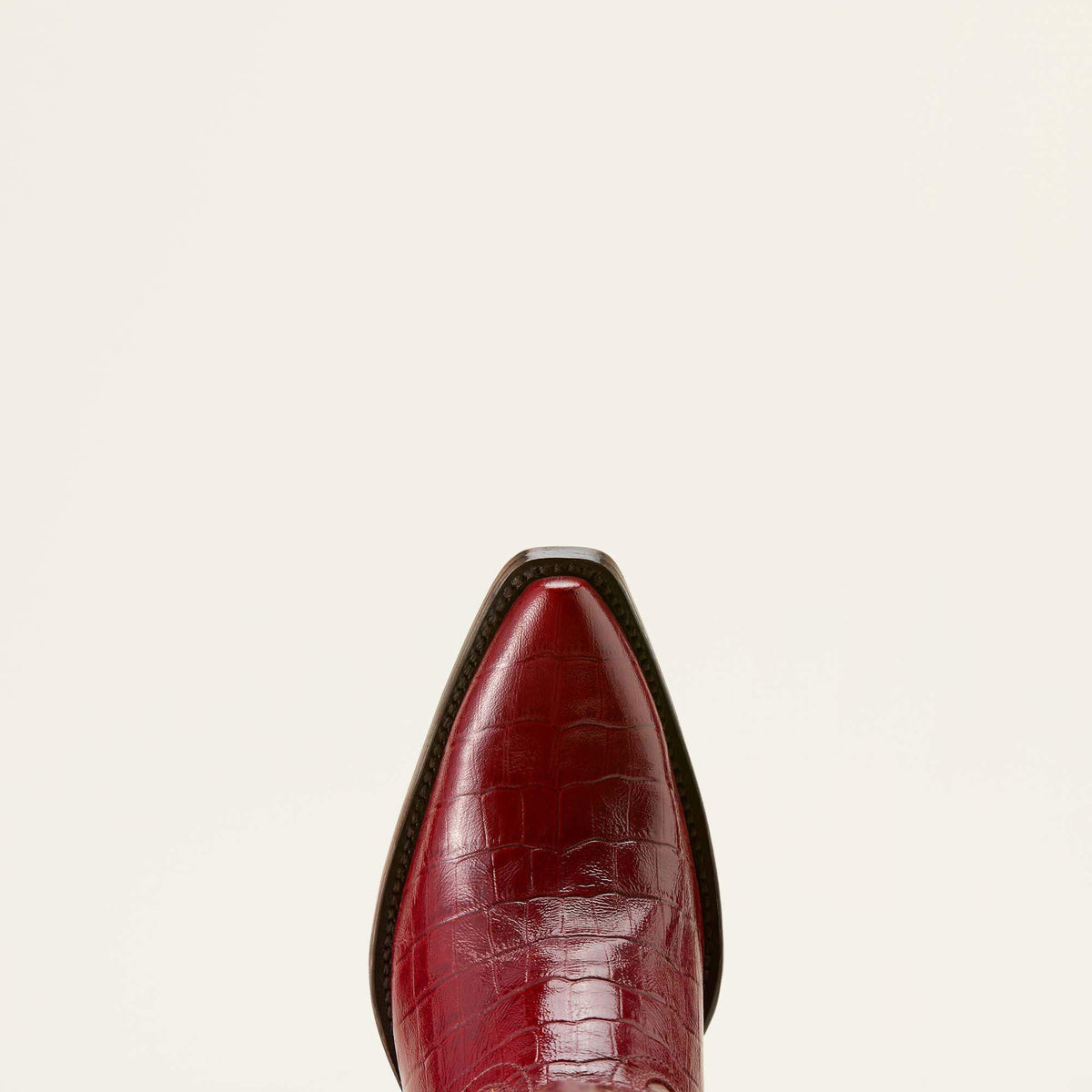 Ariat Trending Casanova X Toe Western Boot