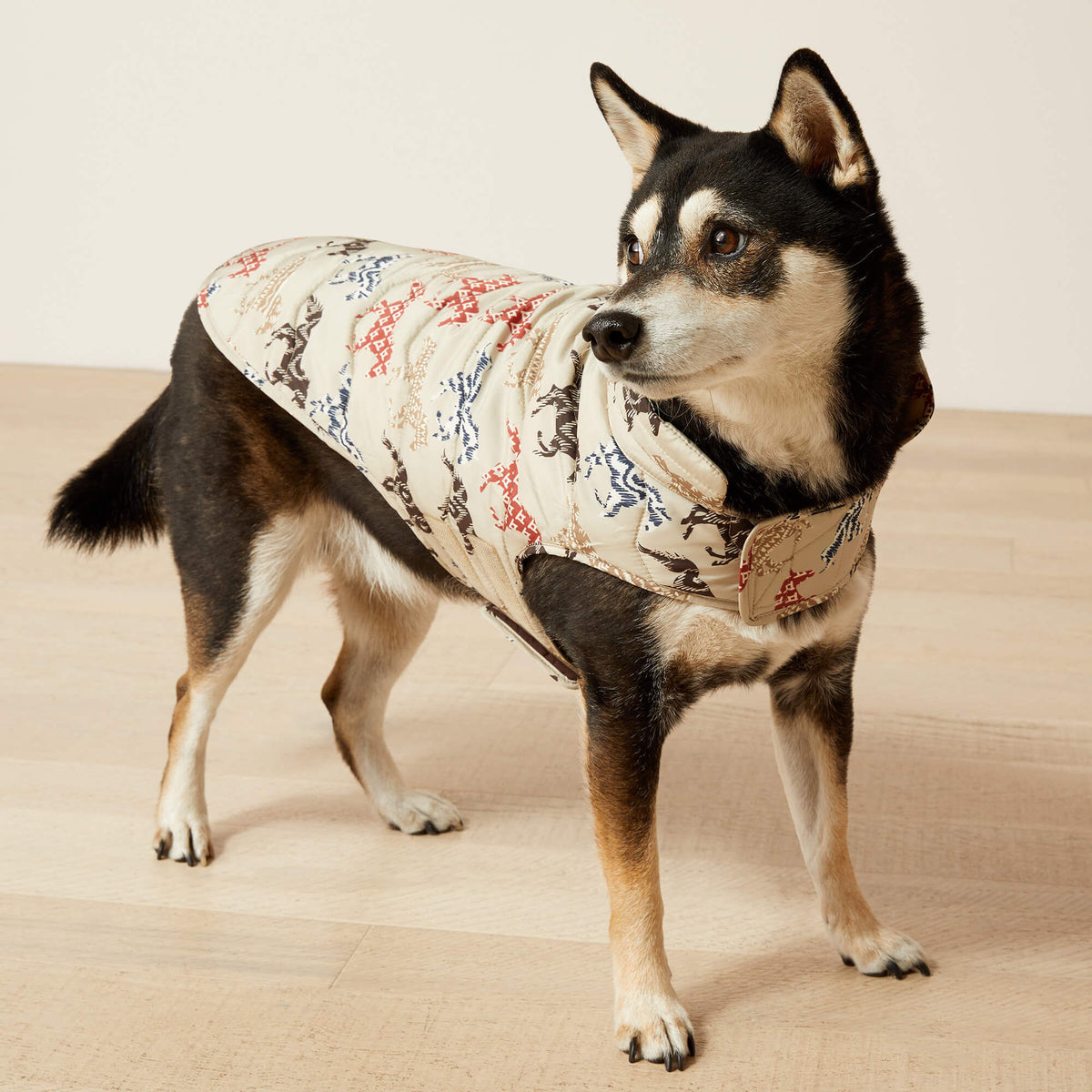 Ariat Great Value Pup Puffer Jacket