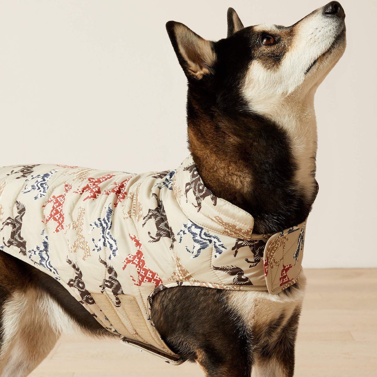 Ariat Great Value Pup Puffer Jacket
