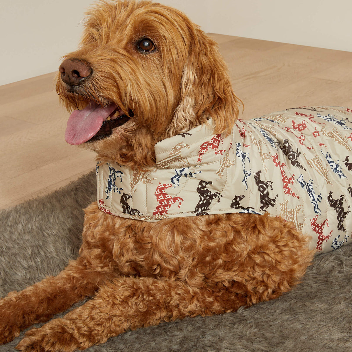 Ariat Great Value Pup Puffer Jacket