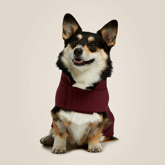 Ariat Special Offer Team Softshell Dog Jacket