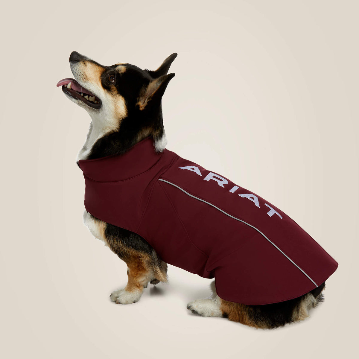 Ariat Special Offer Team Softshell Dog Jacket