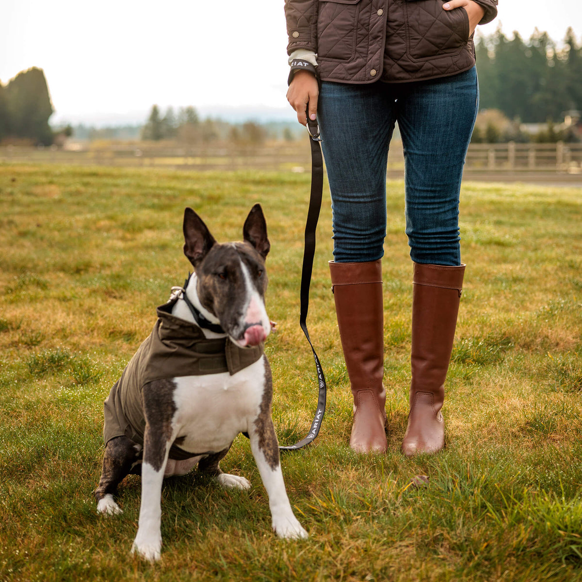 Ariat Latest Dog Leash