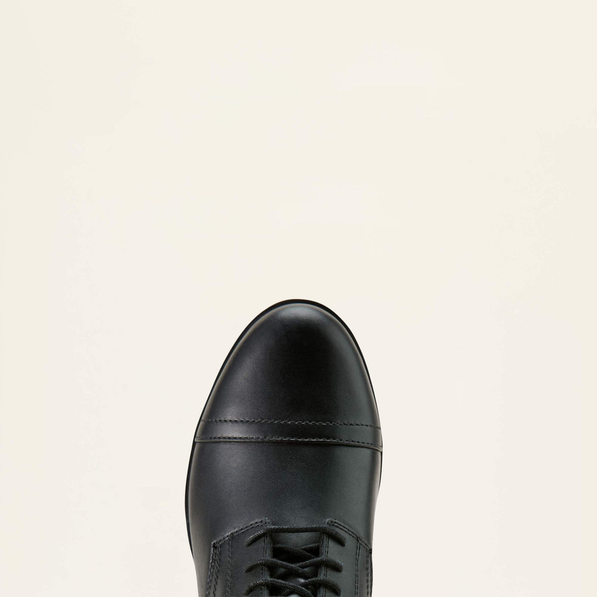 Ariat Featured Scout Paddock Boot