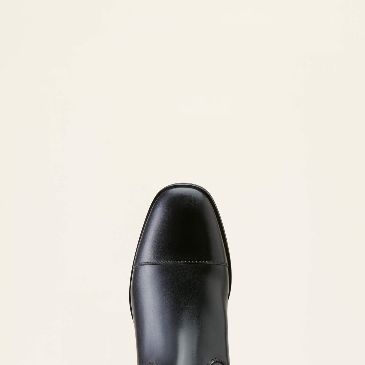 Ariat Premium Ravello Dress Tall Riding Boot
