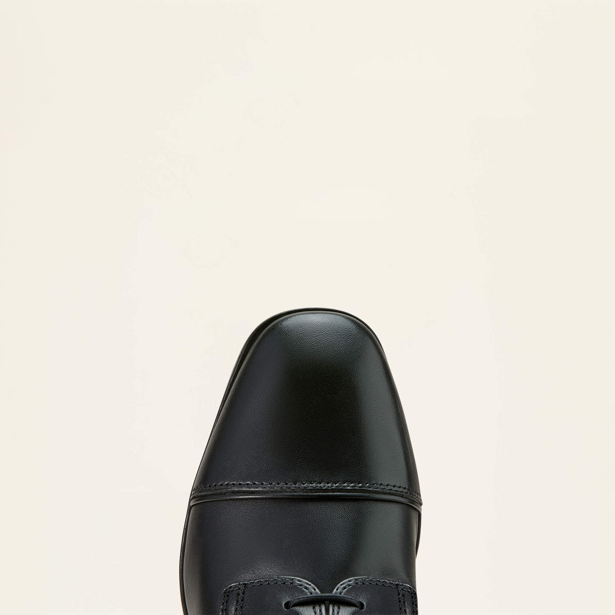 Ariat Featured Palisade Lace Tall Riding Boot