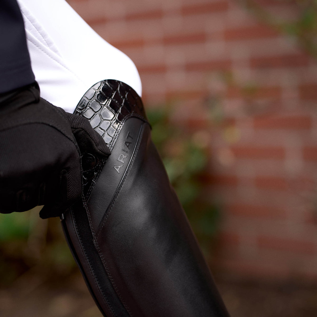 Ariat Top Pick Palisade Show Tall Riding Boot
