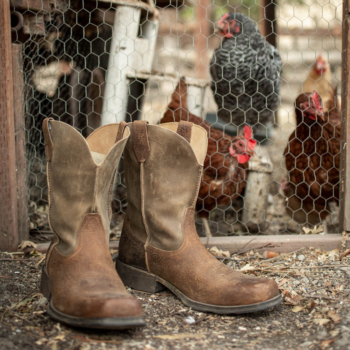 Ariat Featured Rambler Western Boot